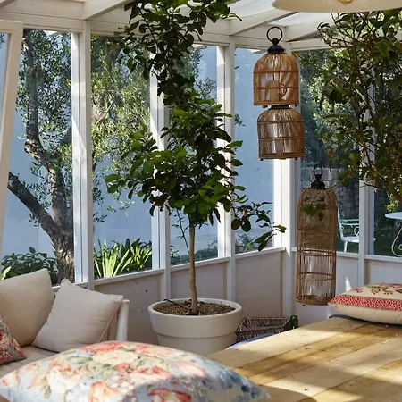 Agapanto Masseria Bed & Breakfast Conversano